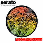 Serato Endless Summer Picture Disc Bythe Yok & Sheryo Vinyl 12’’