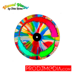 Visual Vinyl by Chris Karns SPIN ART VOL. 1: SCRATCH RECORD 7"